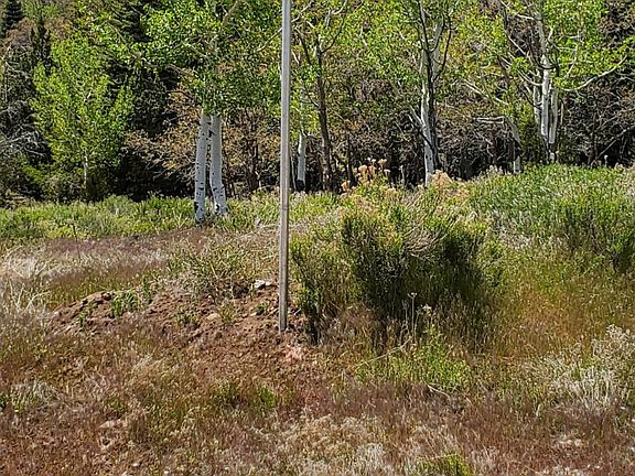 3rd image of 6 N Fork Ests