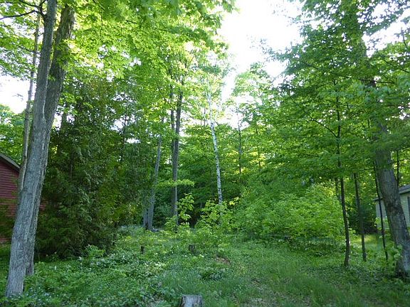 3rd image of 11645 Meadow Wood Ln