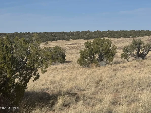 33 COUNTY ROAD N6211 -- #71, St Johns, AZ 85936