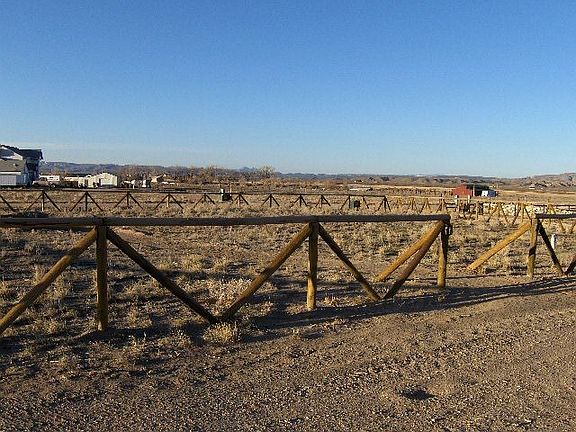 Front of house looking out