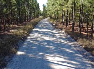 Freeman Rd TRACT B, Bethune, SC 29009