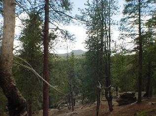 21735 Indian Springs Rd, Conifer, CO 80433