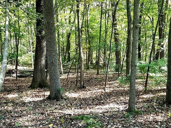 2nd image of 0 Red Gate Ln