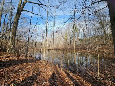5655 Reidsville Rd, Belews Creek, NC, 27009