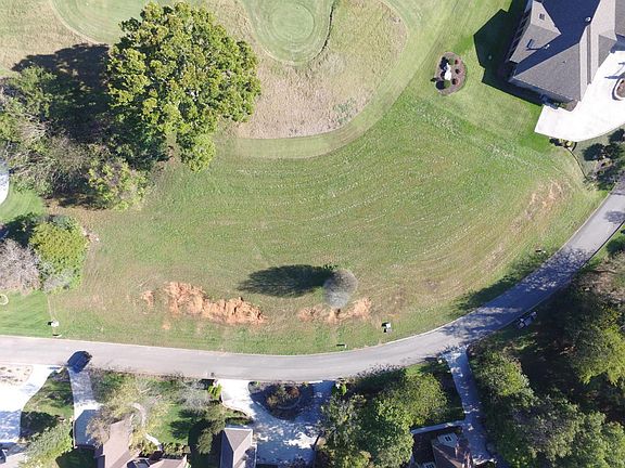 4th image of 160 Pineberry Dr