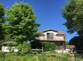 1407 N Bellamy Rd, Ionia, MI 48846