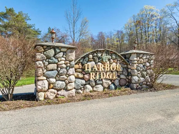 3298 Needles Dr, Harbor Springs, MI 49740