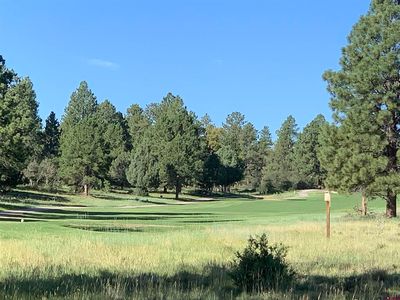 671 N Badger Trail, Ridgway, CO, 81432