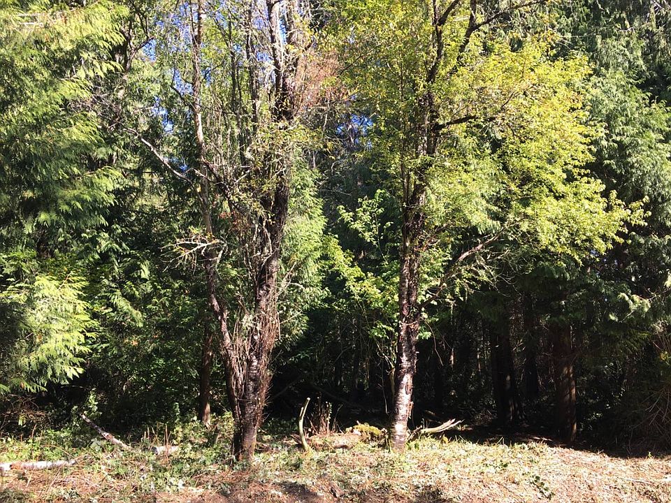 2nd image of Culp Court Rd