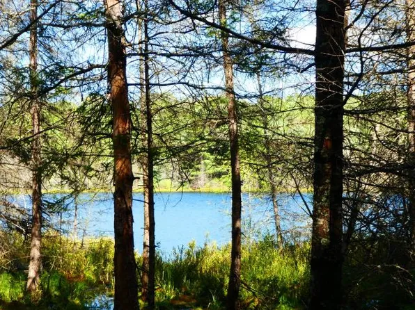 2858 Bluejay Ln, Lac Du Flambeau, WI 54538