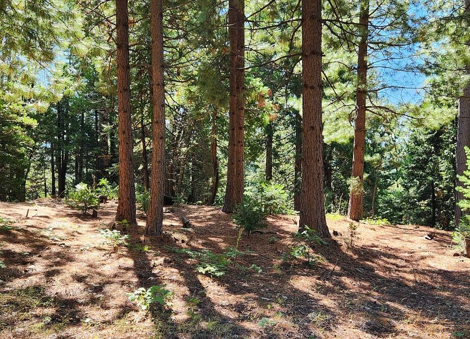 0 Blue Canyon Rd, Emigrant Gap, CA 95715 MLS 223109863 Zillow