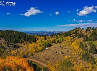 230 Penrose Cir, Cripple Creek, CO 80813