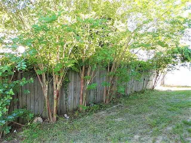 1212 Dragon Head Dr — Photo 12