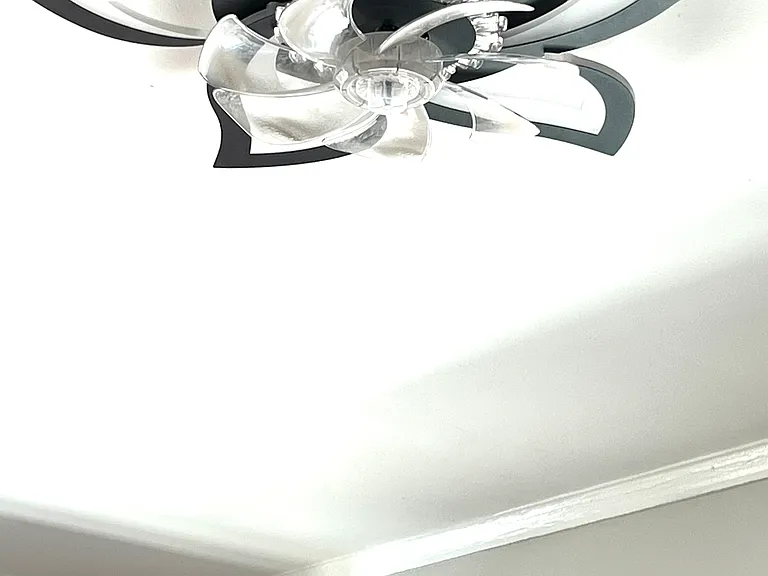 LR light with fan