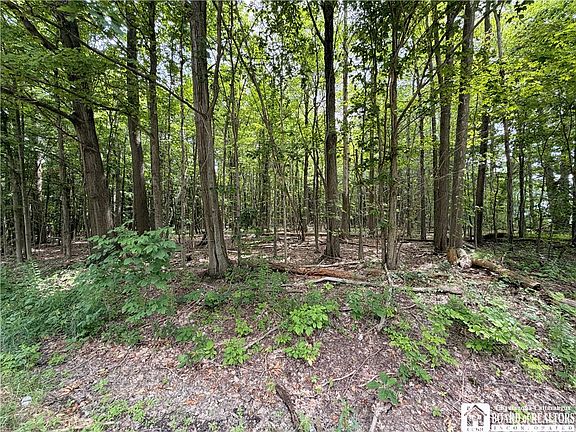 3rd image of 0 Panama Stedman Rd Lot 2