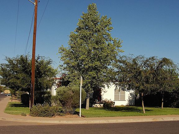 East Side Entry