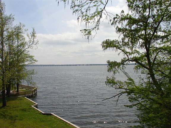 View from the living room.