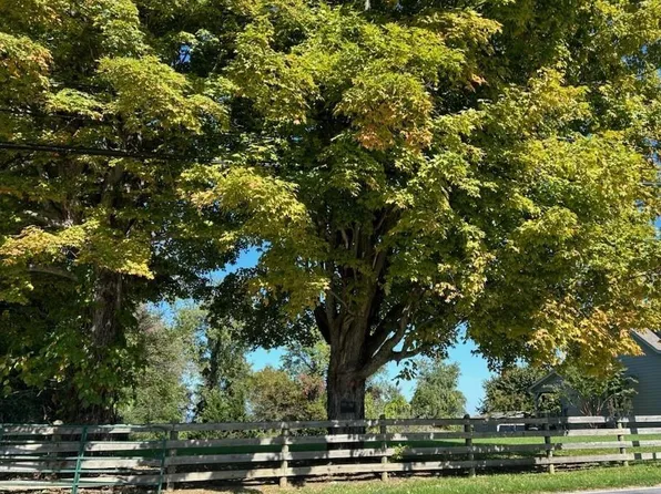 Wilderness Rd, Newbern, VA 24126