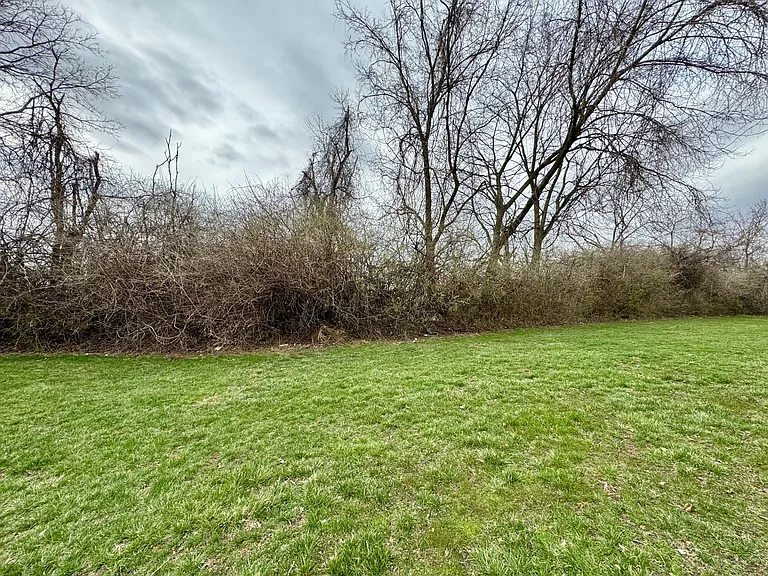 9526 Colegate Way — Photo 41