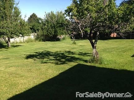 BACK YARD VIEW
						:
						THIS VIEW IS TOWARD THE NORTHWEST CORNER OF THE LOT