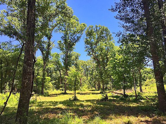 5th image of 5174 County Road 428