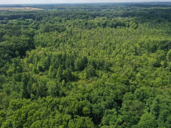 Q Q North Dr, Marshall, MI 49068