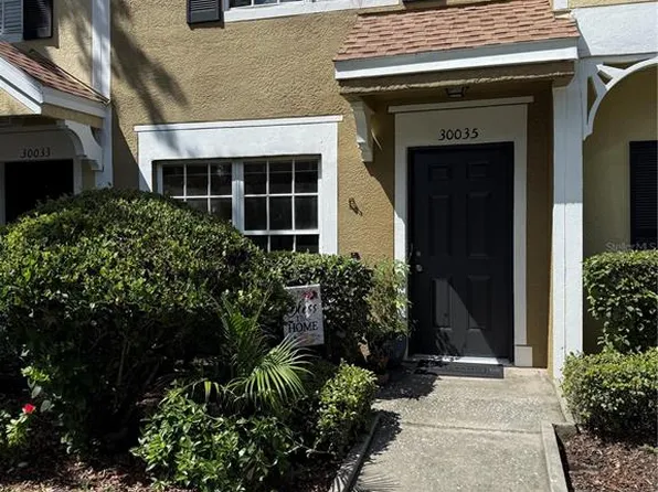 30035 GRANDA HILLS COURT, WESLEY CHAPEL, FL 33543