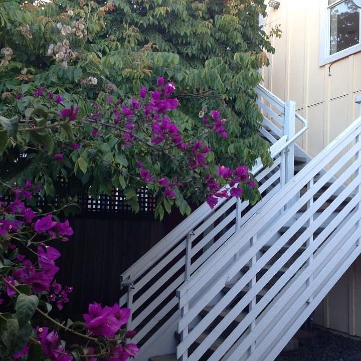 1st image of 2074 S Delaware St