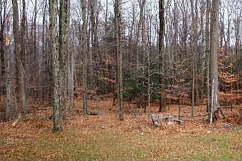 3rd image of 126 Deerwood Dr