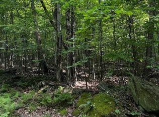 Rt-30, Downsville, NY