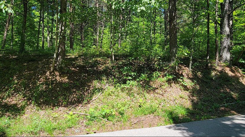 2nd image of 4100 Hazel Patch Rd
