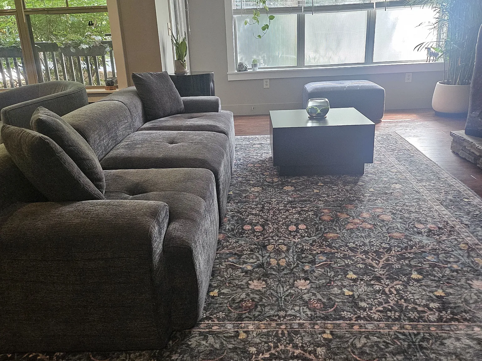1 bed, 1000 sqft, $1,600 — Photo 3