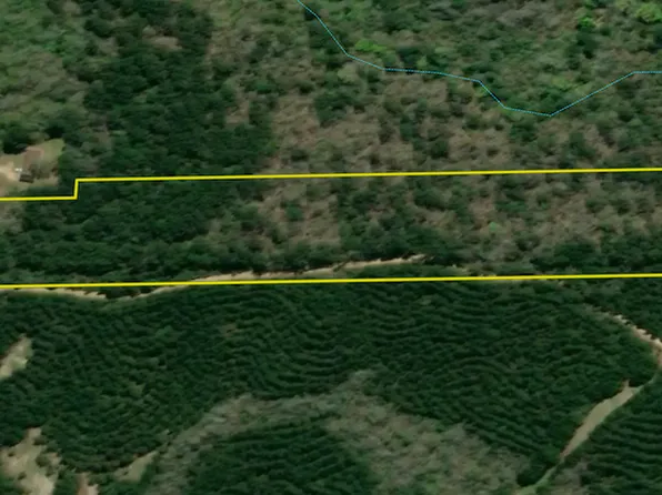 Light Plant Rd Lot Wp001, Monticello, MS 39654