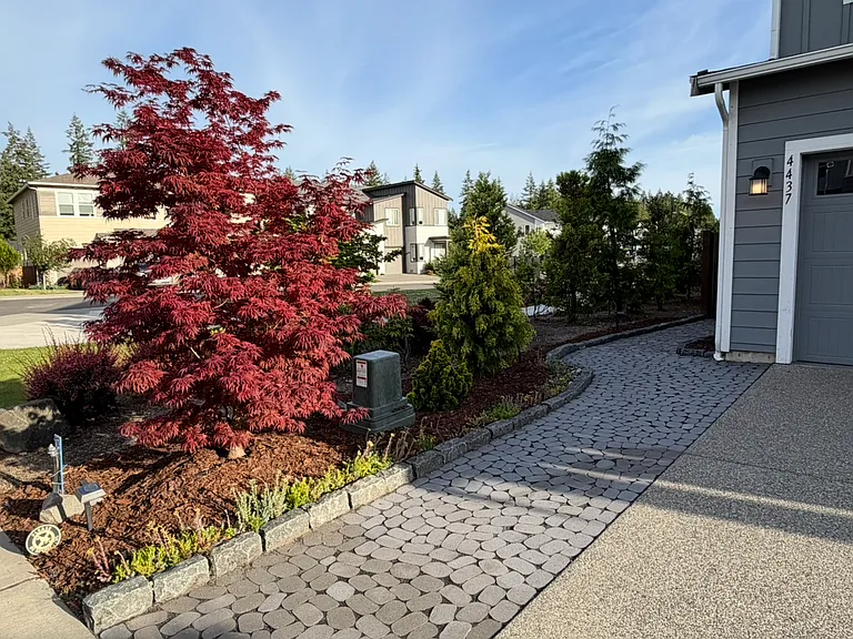 4437 Explorer Ave — Photo 6