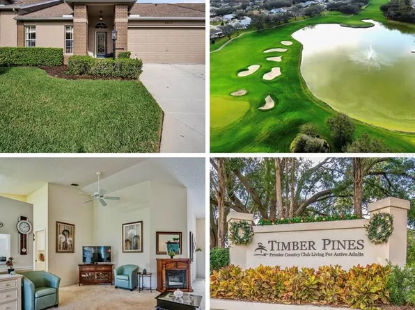 8015 Willow Brook Dr, Spring Hill, FL 34606