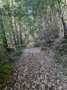 23330 Fort Ross Rd, Cazadero, CA, 95421