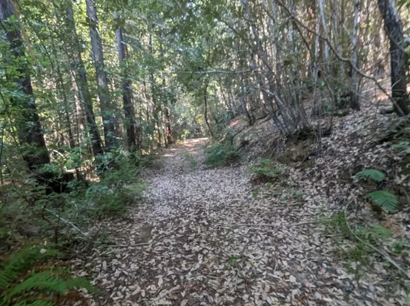 23330 Fort Ross Road, Cazadero, CA 95421