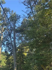 LOT 5 Roberts Ridge Rd #52, Ellijay, GA, 30540