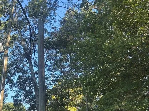 LOT 5 Roberts Ridge Rd #52, Ellijay, GA 30540