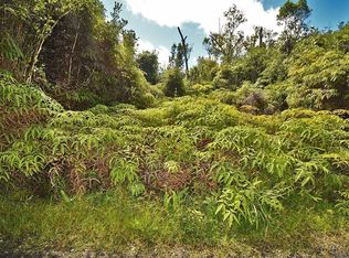 11-1863 Kolea St LOT 51, Mountain View, HI 96771