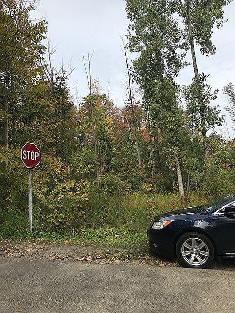 2nd image of 8210 Elmwood Dr