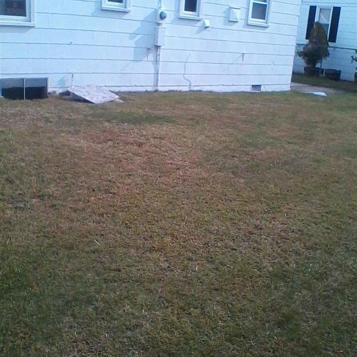 2nd image of 210 N Argyle Ave