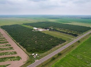 24294 N Moorefield Rd, Edinburg, TX 78541