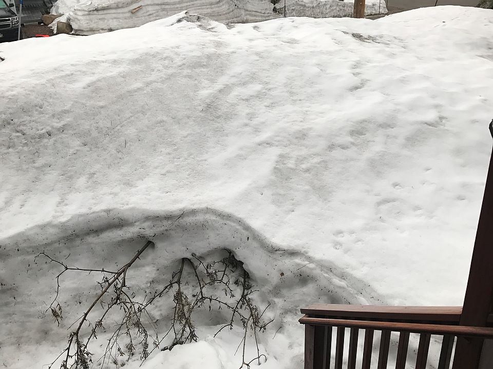 2nd image of 251 Fawn Ln
