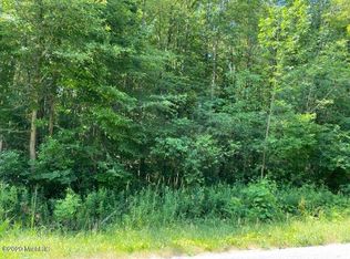 5918 113th Ave PARCEL B, Pullman, MI 49450