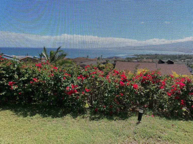 Wailupe Dr — Photo 1