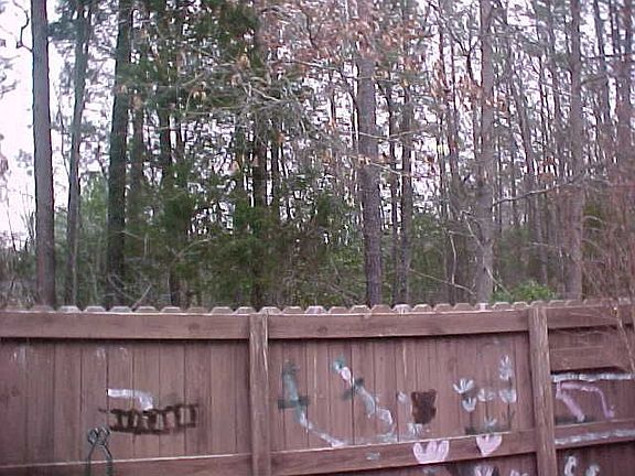 PRIVATE WOODED BACKYARD