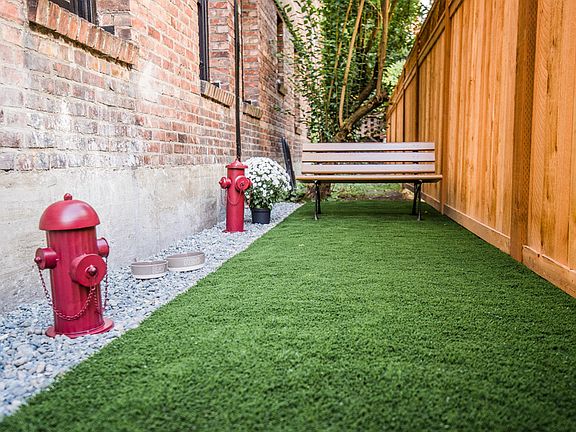 Seattle Apartments - Muse Apartments - Dog Park