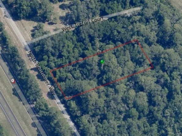 8705 N Bellflower Way, Crystal River, FL 34428