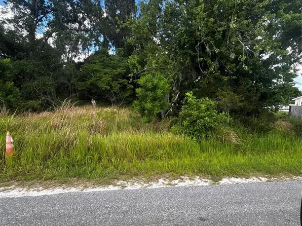 Lee St Lot 1, Bowling Green, FL 33834